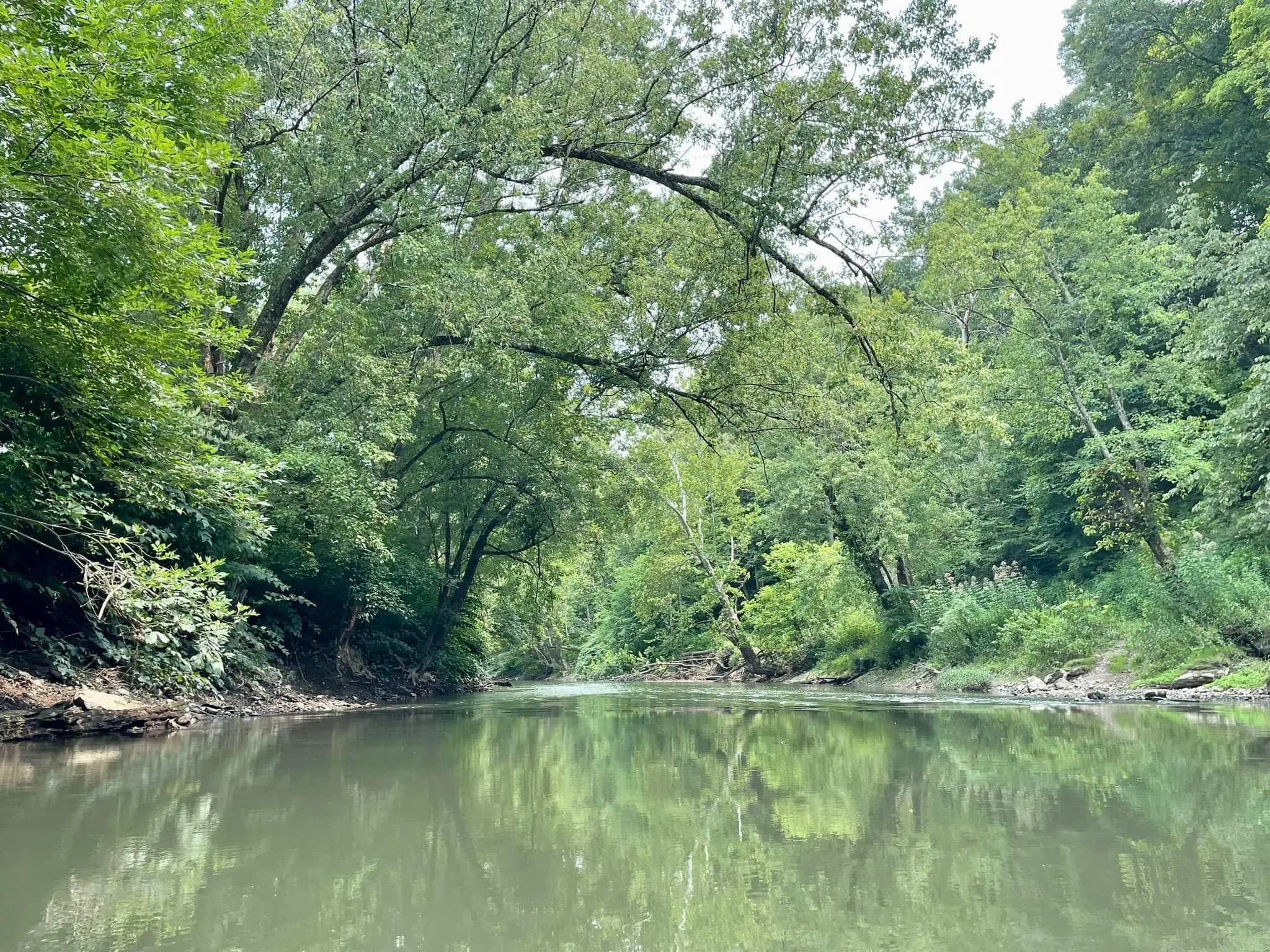 Buckhannon River River Rd